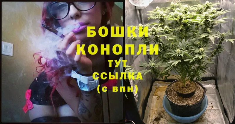 kraken как войти  Красноармейск  МАРИХУАНА OG Kush 